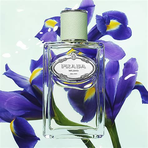 prada body lotion iris|prada les infusions iris.